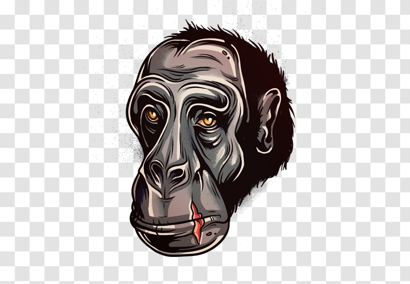 Ape Cartoon Chimpanzee Illustrator - Drawing - Gorilla Vector Transparent PNG