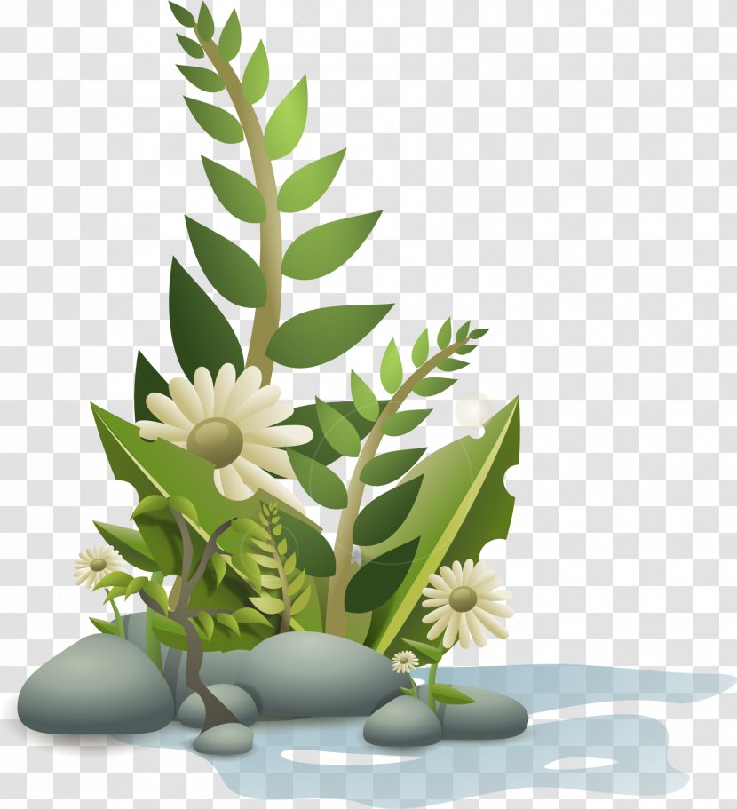 Plant Clip Art - Houseplant - Flowers Vector Transparent PNG