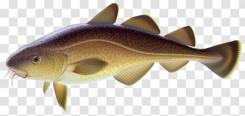 Common Carp Fishing Goldfish Clip Art - Fish - Fisherman Transparent PNG