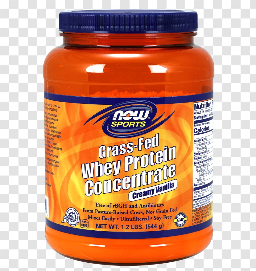 Cream Whey Concentrate Protein Isolate Bodybuilding Supplement - Vanilla Transparent PNG