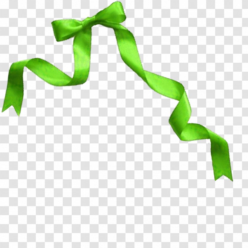 Ribbon Green - Vecteur - Bow Transparent PNG