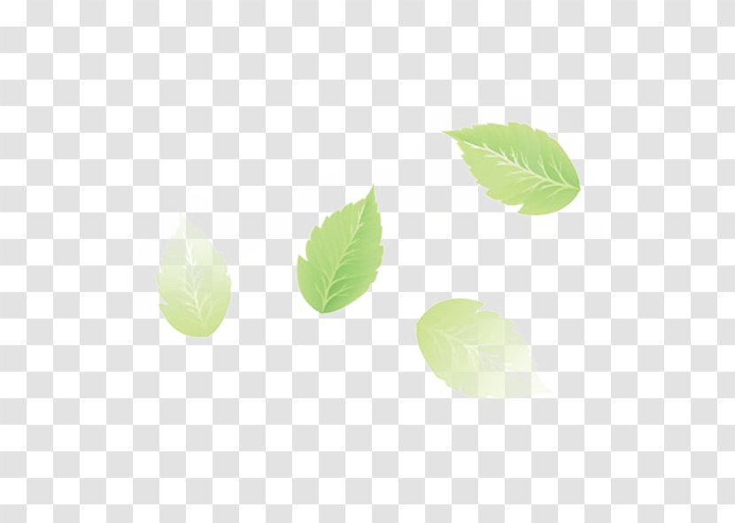 Euclidean Vector Leaf - Designer - Green Leaves Transparent PNG