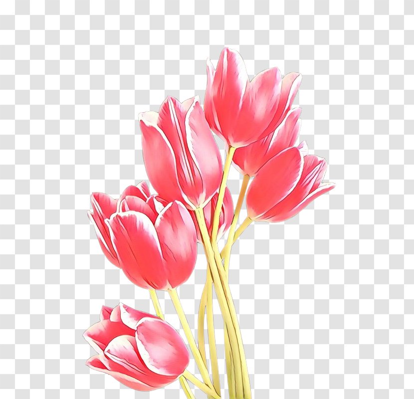 Tulip Flower Image Poster Clip Art - Bouquet Transparent PNG