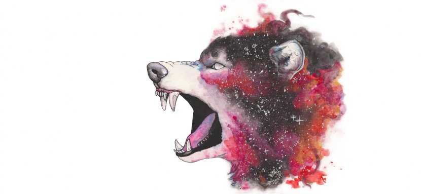 Gray Wolf Watercolor Painting Drawing Galaxy - Snout Transparent PNG