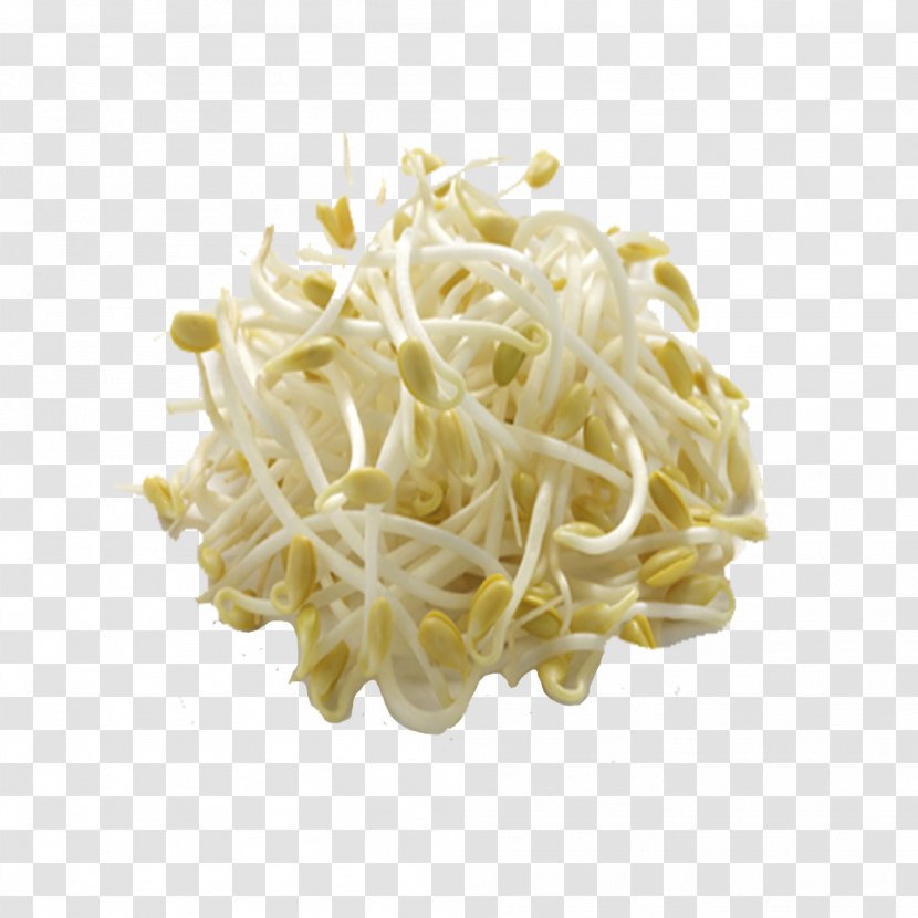 Sprouting Soybean Sprout Chinese Cuisine Mung Bean Food Transparent PNG