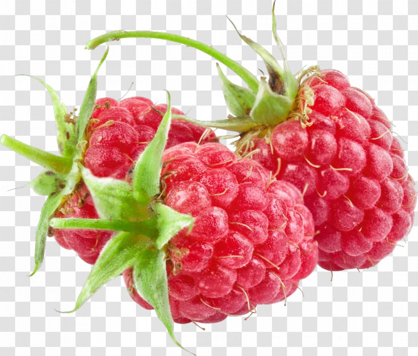 Red Raspberry Everbearing Photography Clip Art - Computer Graphics Transparent PNG