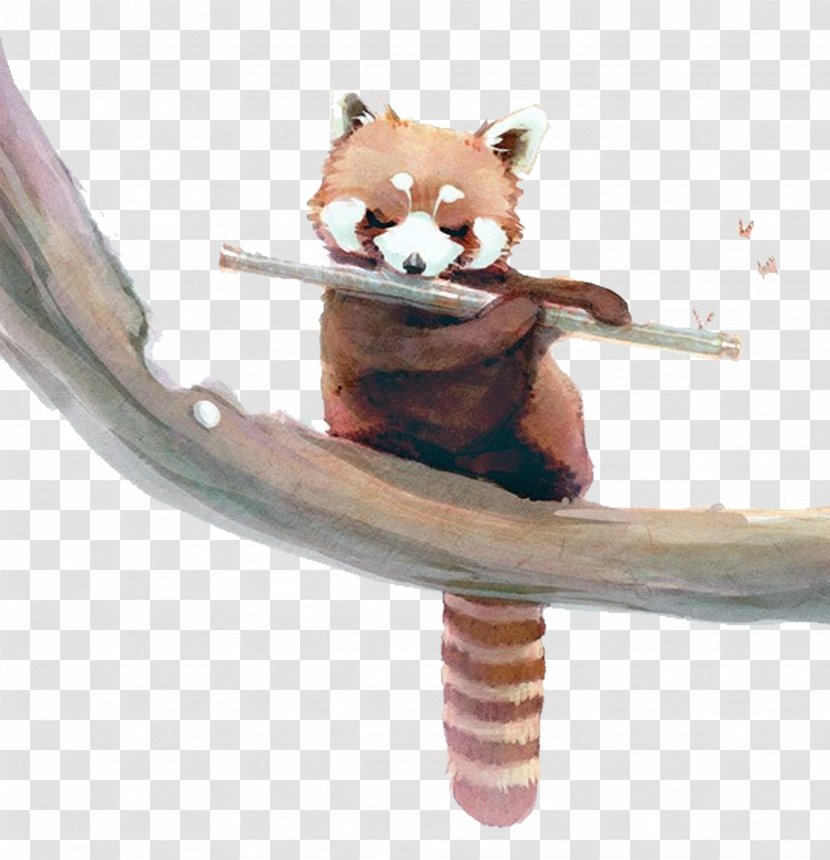 Red Panda Giant Raccoon Watercolor Painting Squirrel - Frame - Hand-painted Flute Of The Fox Transparent PNG