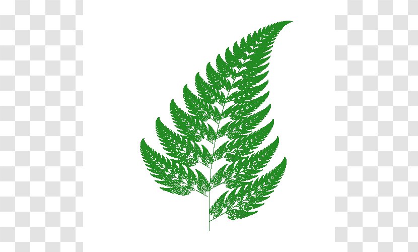 Barnsley Fern Fractal Iterated Function System Chaos Theory - Michael - Download Ferns Icon Transparent PNG