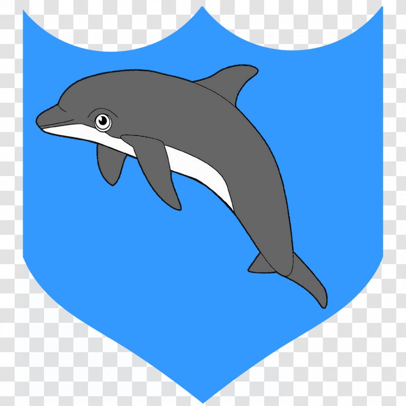 Porpoise Rough-toothed Dolphin Tucuxi Wholphin - Fin Transparent PNG
