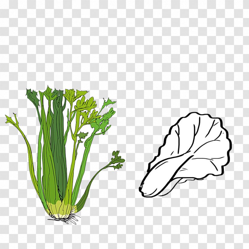 Image Resolution Vegetable Pixel - Cruciferous Vegetables - Apio Vector Transparent PNG