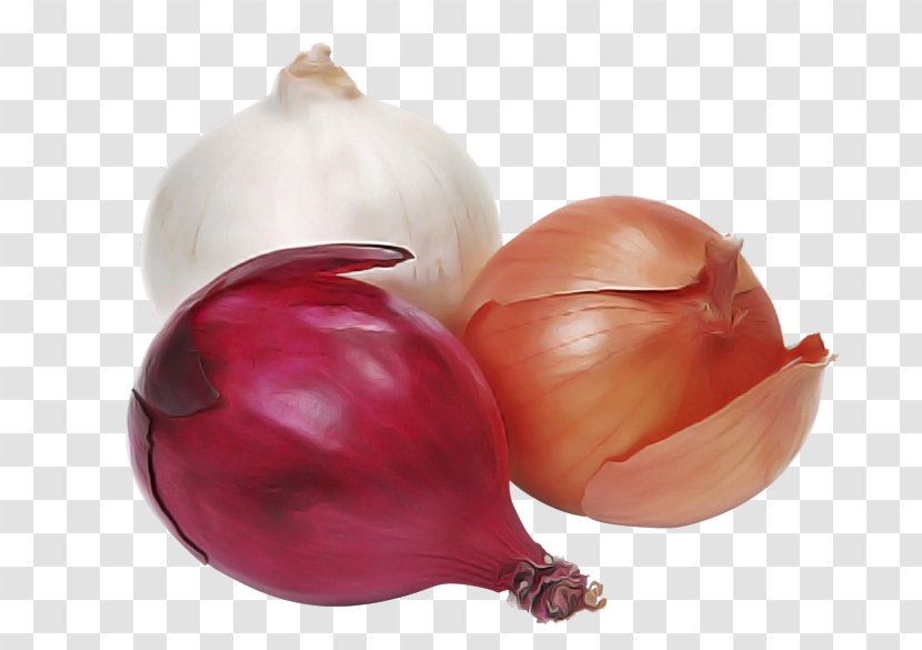 Onion Vegetable Shallot Red Yellow - Plant - Pearl Allium Transparent PNG