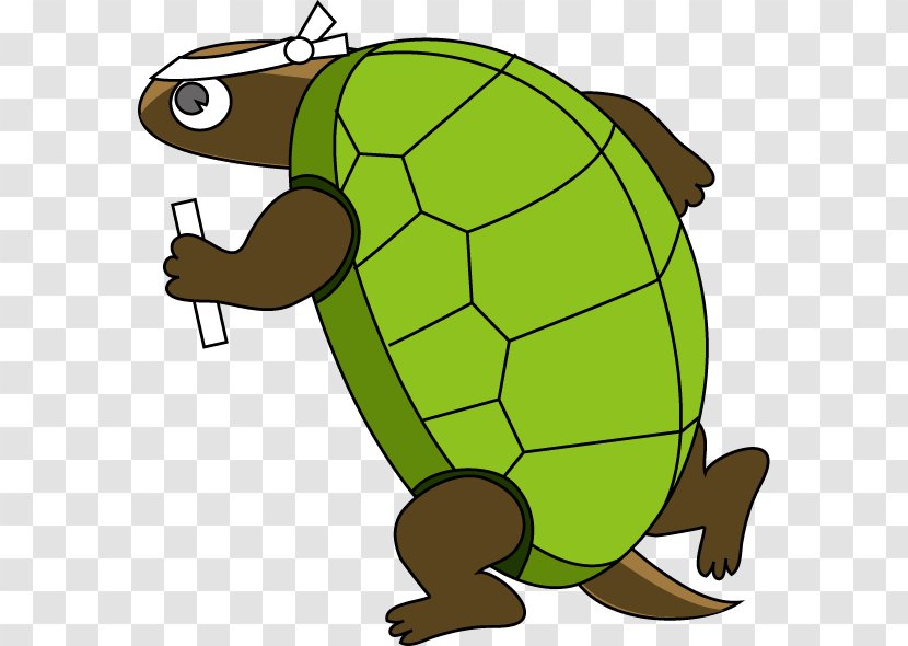 Turtle The Tortoise And Hare Clip Art - Fauna - Run Transparent PNG