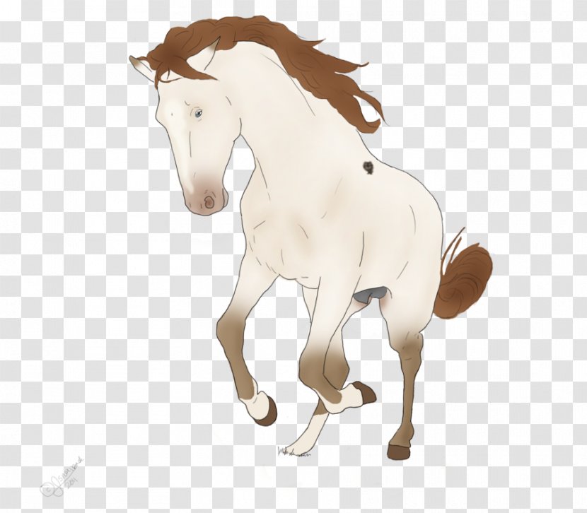 Mustang Stallion Pony Rein Halter - Bridle Transparent PNG