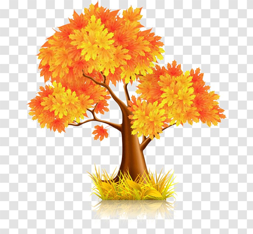 Gold Leaf Tree - Maple - Flower Transparent PNG