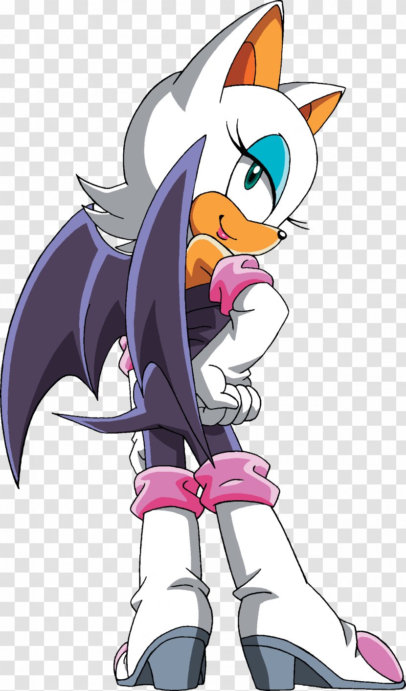 Rouge The Bat Shadow Hedgehog Sonic Adventure 2 Ariciul Forces - Riders Zero Gravity Transparent PNG