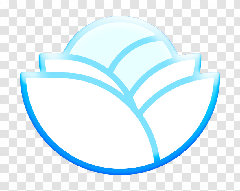 Food And Restaurant Icon Fruits And Vegetables Icon Cabbage Icon Transparent PNG