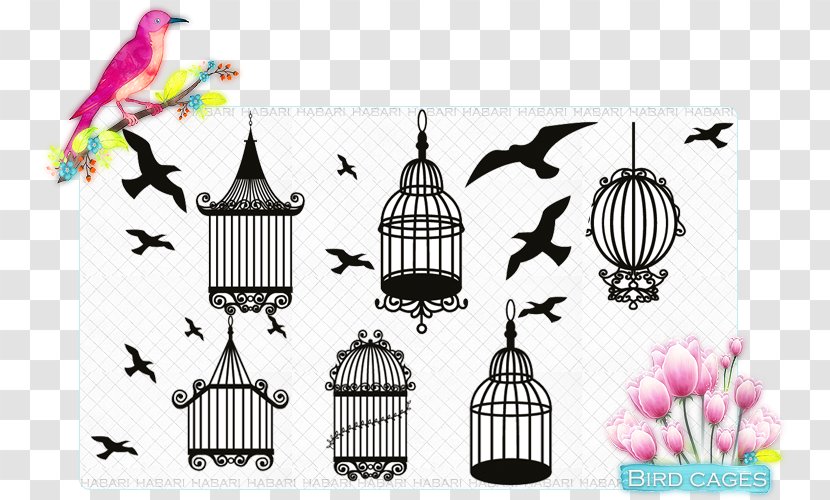 Birdcage Drawing - Silhouette - Bird Transparent PNG