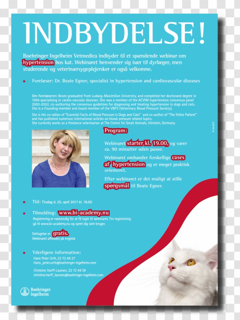 Flyer Poster Brochure Web Page Line - Advertising Transparent PNG