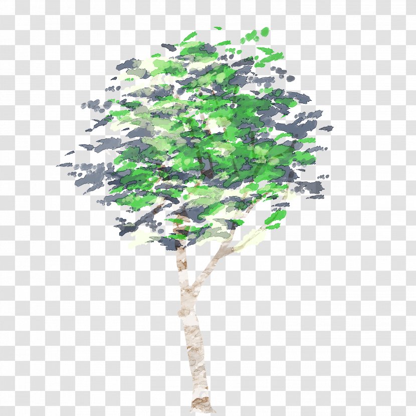 Tree Watercolor Painting Raw Image Format - Branching Transparent PNG