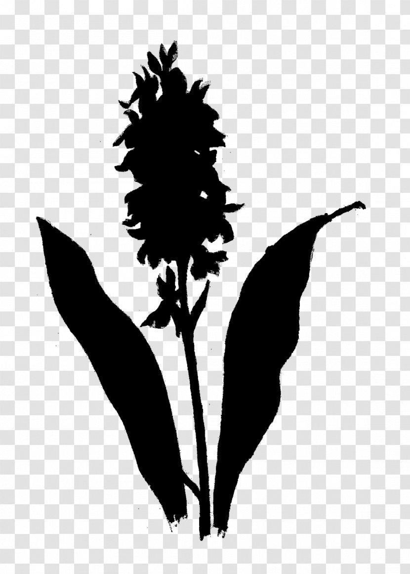 Flower Plant Stem Leaf Clip Art Silhouette - Flowering Transparent PNG