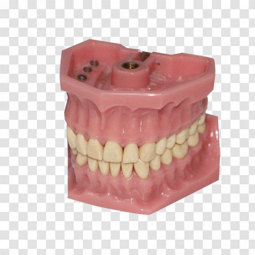 Dentistry Human Tooth Dentures Bruxism - Mouth - 3d Dental Treatment For Toothache Transparent PNG