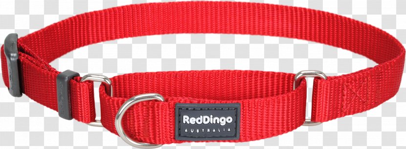 Dingo Puppy Greyhound Whippet Lurcher - Leash - Red Collar Transparent PNG