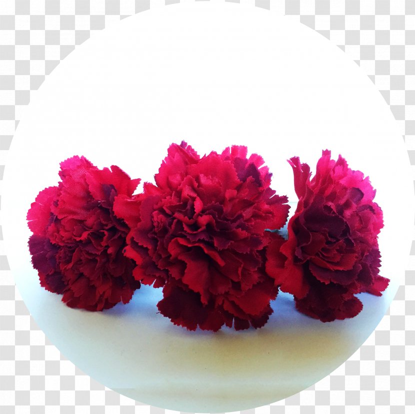 Carnation Red Cut Flowers Magenta - Clavel Transparent PNG