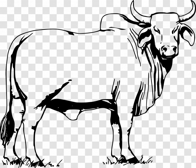 Ox Brahman Cattle Bull Clip Art - Black And White Transparent PNG