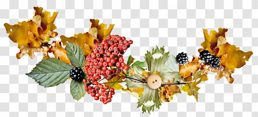 Holly - Branch - Sorbus Transparent PNG