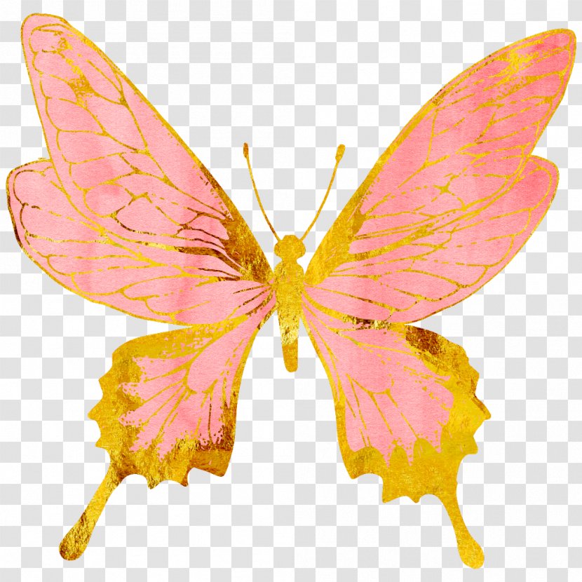 Clip Art Image Butterfly Desktop Wallpaper - Invertebrate Transparent PNG