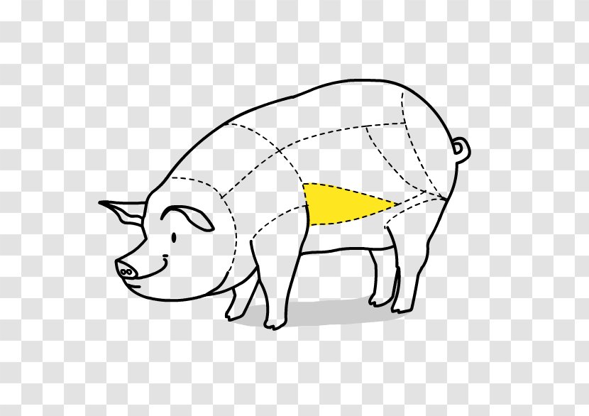 Pig Galbijib Drawing Clip Art - Mammal Transparent PNG