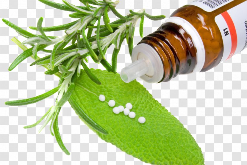 Alternative Health Services Medicine Herb Pharmaceutical Drug - Herbs And Pills Transparent PNG