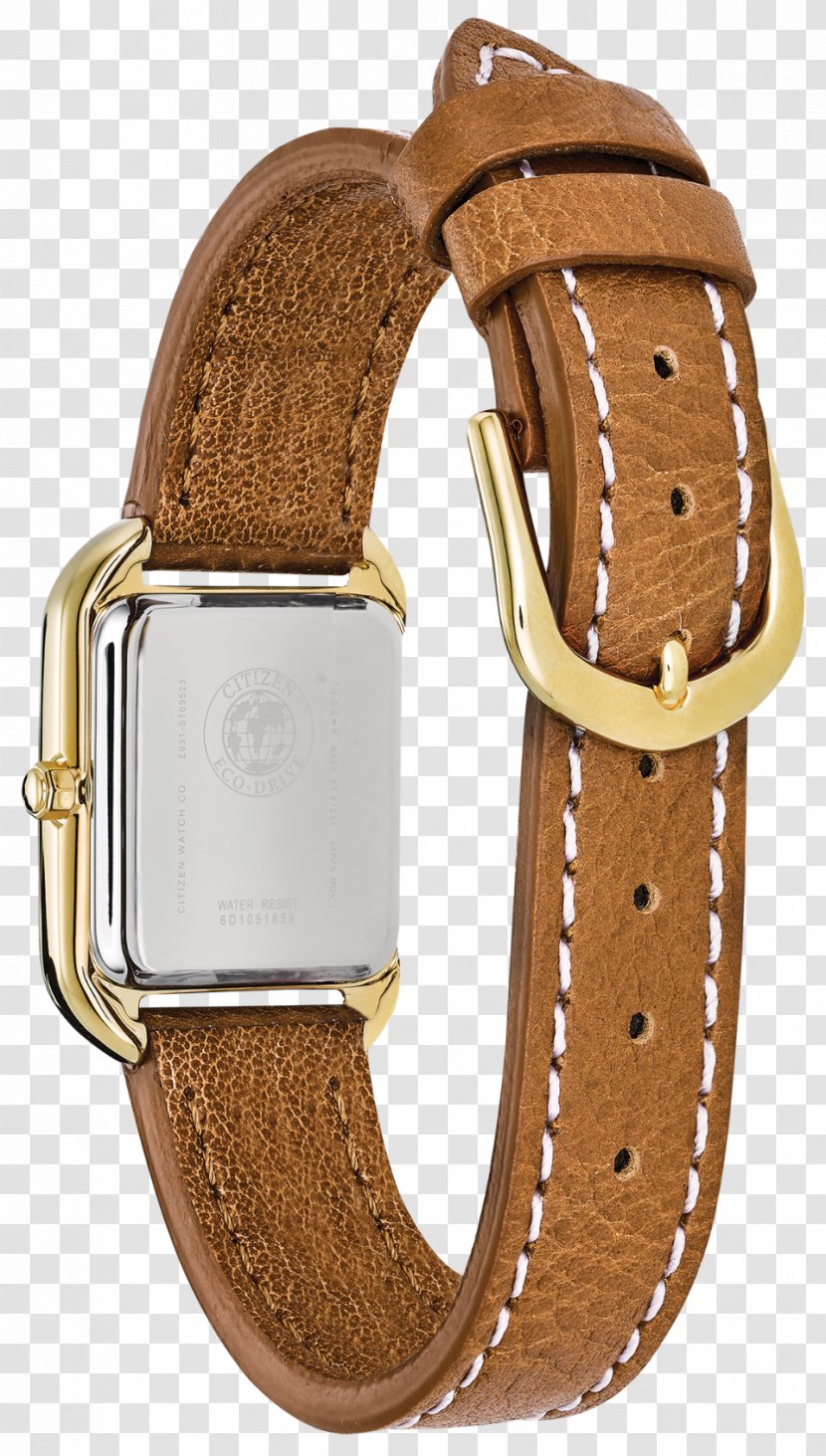 Watch Strap Citizen Holdings Eco-Drive - Silhouette Transparent PNG