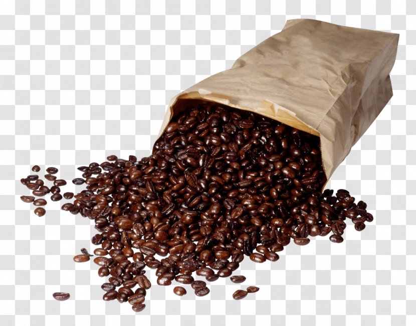 The Complete Idiot's Guide To Java 1.2 Coffee Roasting Cafe Espresso - Beans Transparent PNG