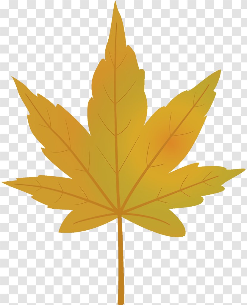 Maple Leaf Autumn Yellow - Tree - Plane Transparent PNG