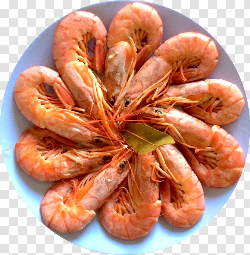 Prawns Caridea Recipe Scampi Food - Dendrobranchiata - Sushi Transparent PNG