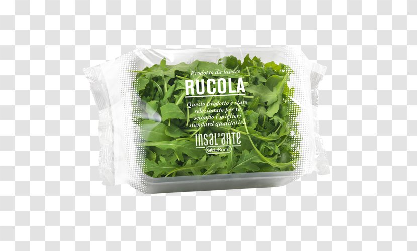 Romaine Lettuce Carpaccio Vegetarian Cuisine Arugula Herb - Misticanza - Salad Transparent PNG