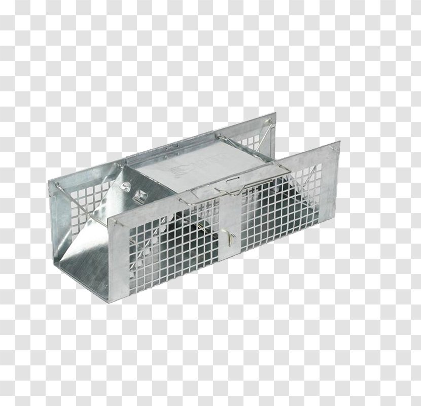 Rodent Trapping Raccoon Rat Trap - Pest - Mouse Transparent PNG
