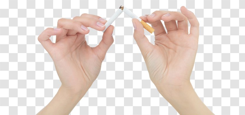 Smoking Cessation Chronic Obstructive Pulmonary Disease Cardiovascular - Bronchitis - Prevention Transparent PNG