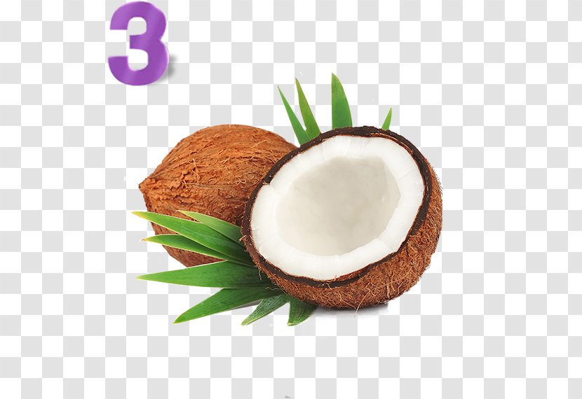 Nata De Coco Coconut Candy Oil Organic Food - Milk Powder Transparent PNG