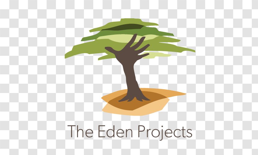 Eden Reforestation Projects Non-profit Organisation Organization - Nonprofit - Forest Transparent PNG