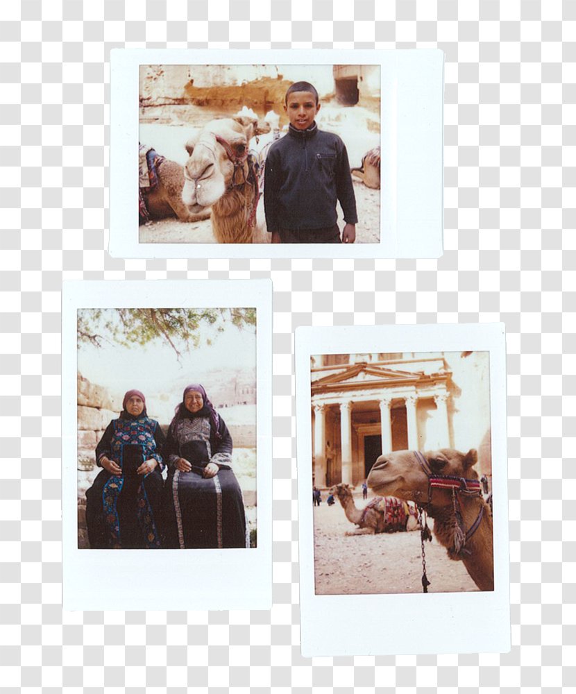 Petra Picture Frames Stock Photography Winter - Bedouin Transparent PNG