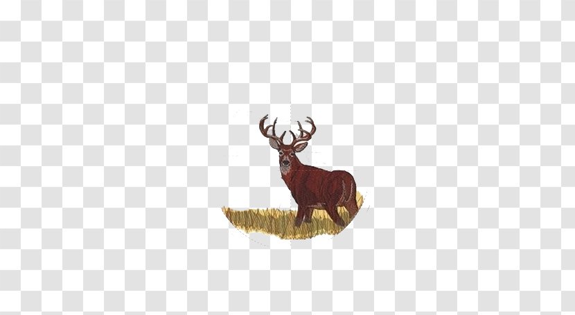 Reindeer White-tailed Deer Antler Cattle - Fauna Transparent PNG