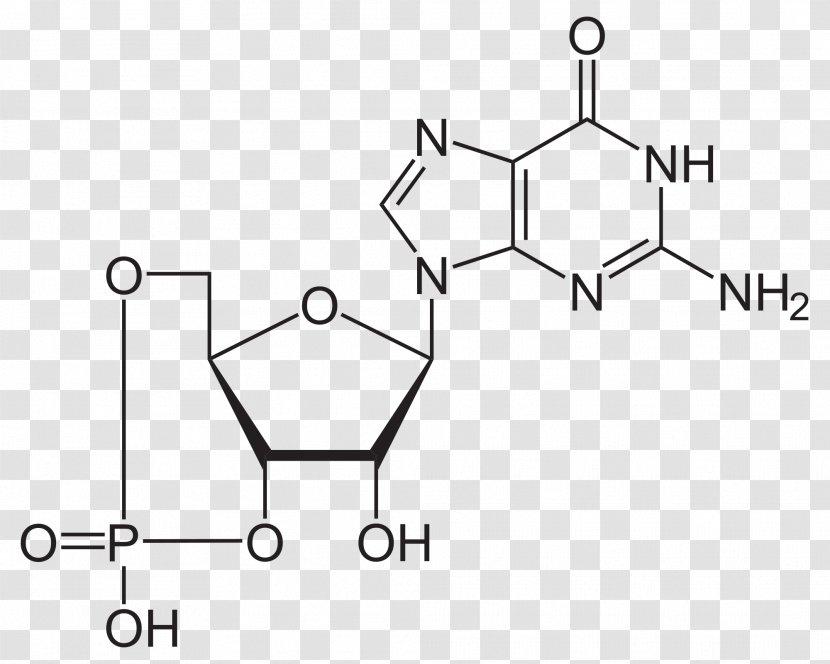 Adenosine Triphosphate Nucleotide Molecule Chemical Substance Structural Formula - Silhouette - Biochemistry Transparent PNG