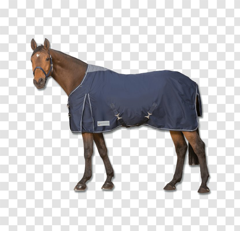 Horse Blanket Pony Couverture D'extérieur 50 G Turnout Light By Bucas Equestrian - Supplies - Big Discount Transparent PNG