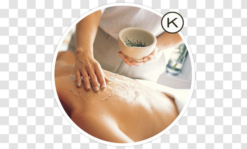Human Skin Exfoliation Massage Wrinkle - Ludawn Spa Salon Transparent PNG