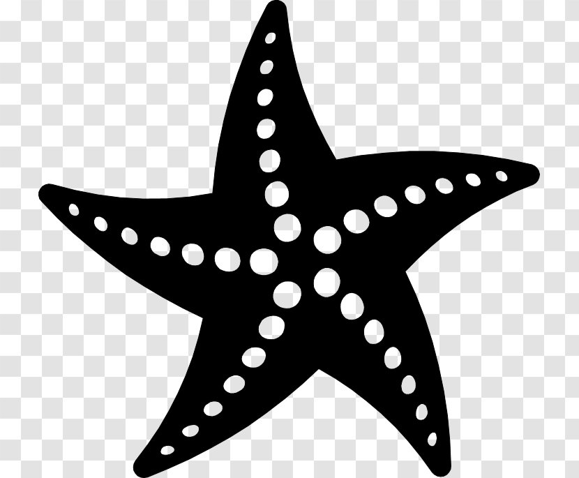 Seashell Clip Art - Starfish - Sparkling Star Transparent PNG