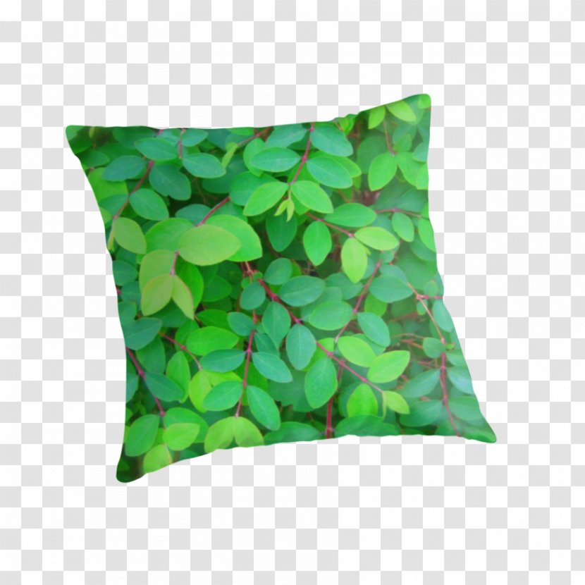 Throw Pillows Cushion Green Leaf - Grass - Fabric Pattern Transparent PNG