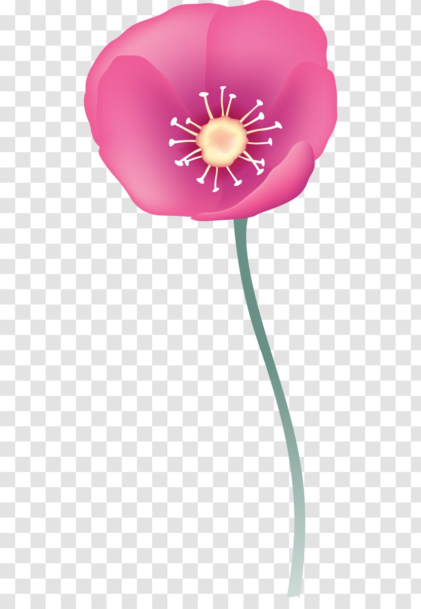 Petal Opium Poppy - Design Transparent PNG