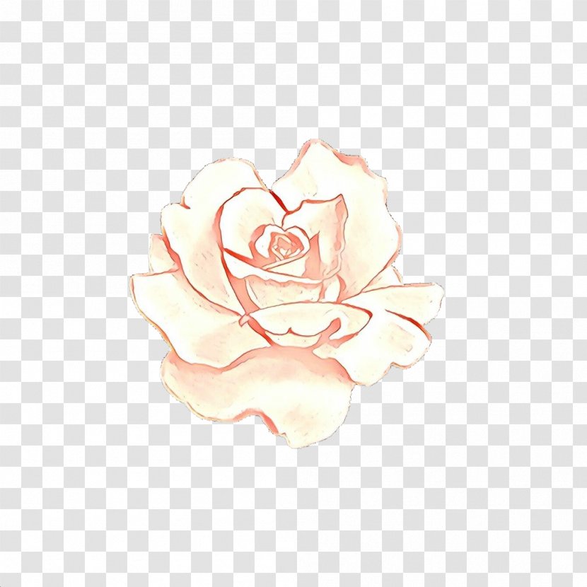 Garden Roses - Cartoon - Hybrid Tea Rose Plant Transparent PNG